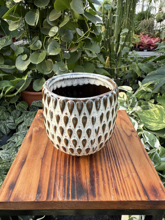 OSŁONKA BOHEME BIEL P9