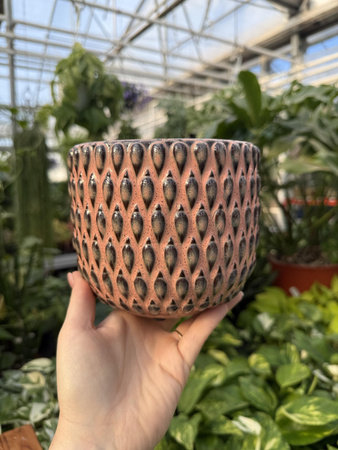 OSŁONKA BOHEME RÓŻ P12