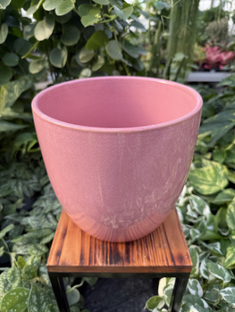 OSŁONKA PACIFIC RÓŻ P20