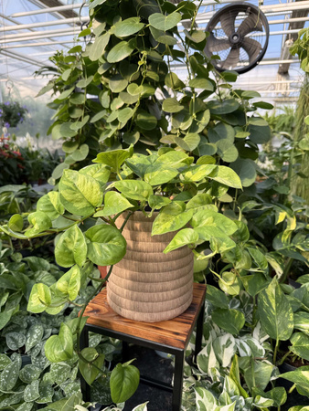 DONICA CERAMICZNA WALEC BOHO PIASKOWE P18