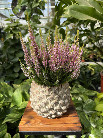 OSŁONKA CERAMICZNA SZYSZKA P11