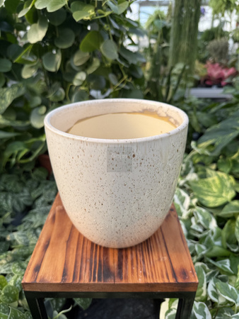 OSŁONKA PACIFIC KREM P16