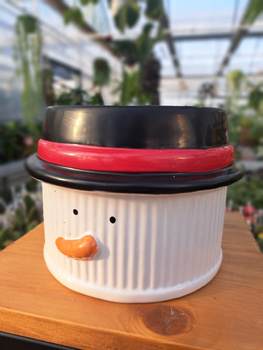 OSŁONKA PAN BAŁWAN