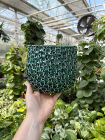 OSŁONKA DROPS POT EMERALD P13,5