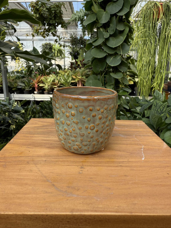 OSŁONKA ZIELONA KROPKA P7