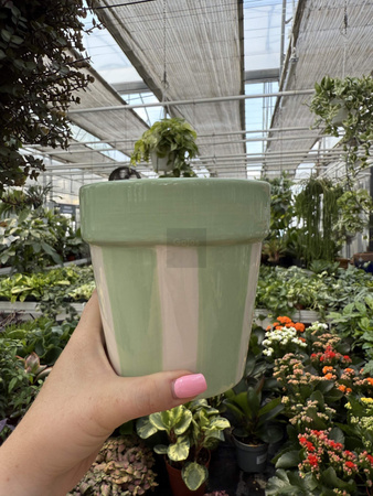 OSŁONKA CERAMICZNA MIĘTOWE PASY P11