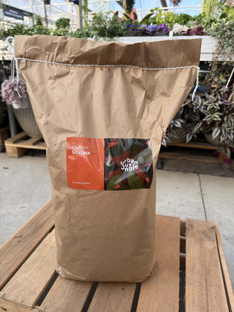 PODŁOŻE STRELICJA 15 LITRÓW