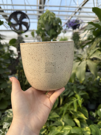 OSŁONKA PACIFIC KREM P12