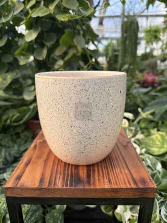 OSŁONKA PACIFIC KREM P13