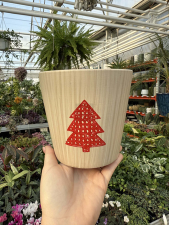 OSŁONKA CHOINKA  P14