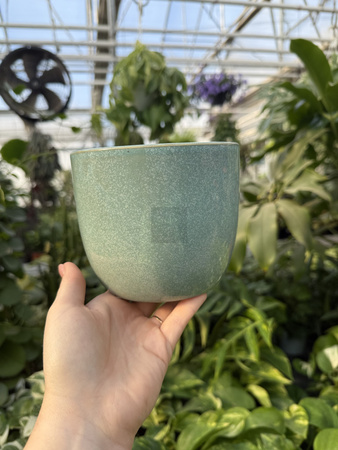 OSŁONKA PACIFIC MIĘTA P12