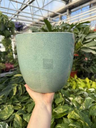 OSŁONKA PACIFIC MIĘTA P20