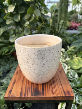 OSŁONKA PACIFIC KREM P13