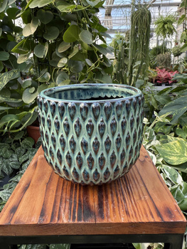 OSŁONKA BOHEME MIĘTA P12