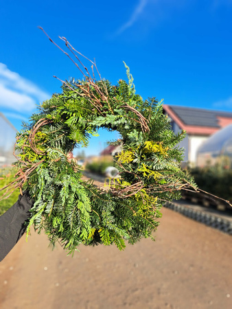 WIANEK  MIESZNY JODŁA + CYPRYS + BRZOZA 50 cm