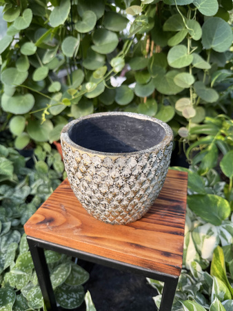 OSŁONKA ELVIRA OLD GOLD P14