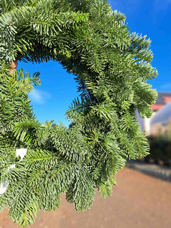 WIANEK NOBILIS 30 CM