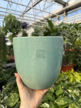 OSŁONKA PACIFIC MIĘTA P18