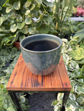 OSŁONKA PACIFIC GRANAT P12