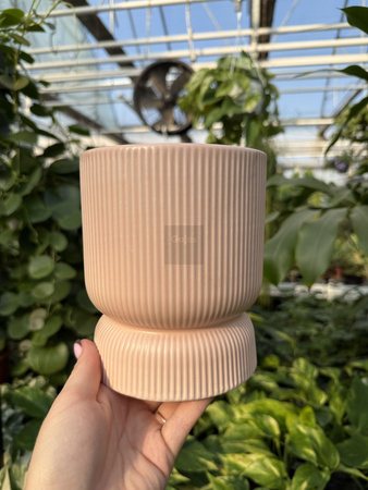 OSŁONKA PINK MAT P11,5