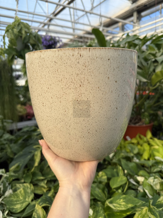 OSŁONKA PACIFIC KREM P20