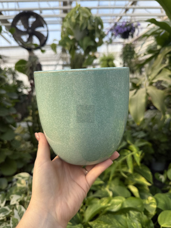 OSŁONKA PACIFIC MIĘTA P13