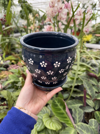 DONICA CERAMICZNA GRANATOWA STOKROTKA P15