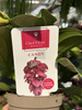MEDINILLA 'CANDY' P14