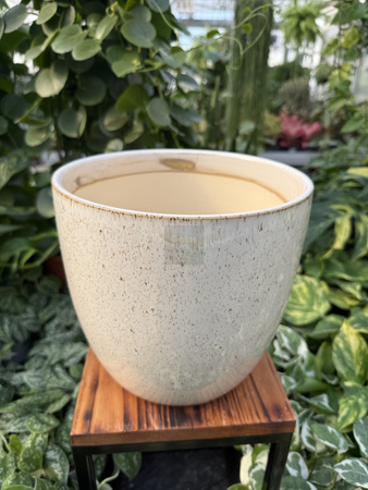 OSŁONKA PACIFIC KREM P20