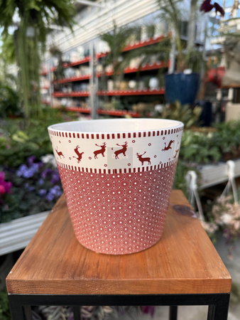 OSŁONKA X-MAS RENIFERKI