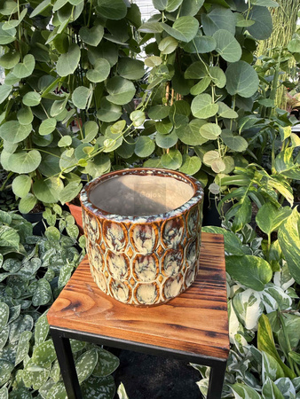 OSŁONKA VIVA CYLINDER BROWN P14