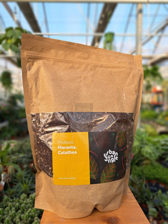 PODŁOŻE MARANTHA, CALATHEA 5 LITRÓW