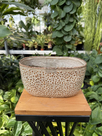OSŁONKA RYNNA KROPKA BEŻOWA 20X11 
