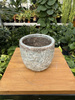 OSŁONKA SILA EGG POT GREY P8