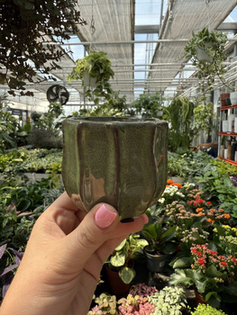 OSŁONKA CERAMICZNA KAKTUS MAŁY P6