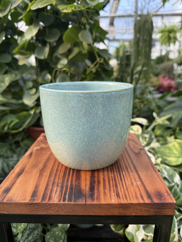 OSŁONKA PACIFIC MIĘTA P12