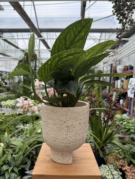 OSŁONKA CERAMICZNA PIASKOWA P17