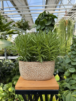 OSŁONKA RYNNA KROPKA BEŻOWA 20X11 