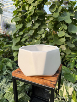 OSŁONKA DIAMENT MISA BIAŁA