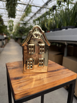 DOMEK ZŁOTY LED MAŁY