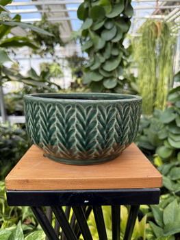 OSŁONKA ZIELONY LAS MISA P18