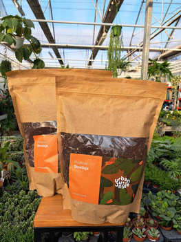 PODŁOŻE STRELICJA 5 LITRÓW