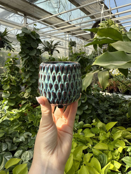 OSŁONKA BOHEME MIĘTA P6