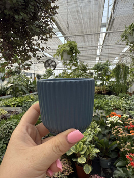 OSŁONKA RYFLOWANA MINI GRANAT P6