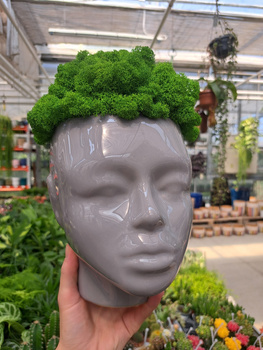 KOMPOZYCJA Z CHROBOTKA GŁOWA SZARA