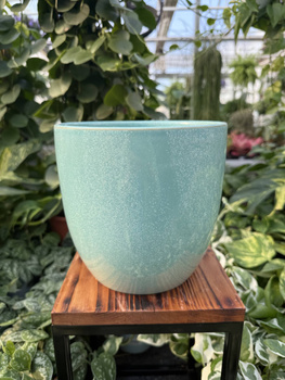 OSŁONKA PACIFIC MIĘTA P18