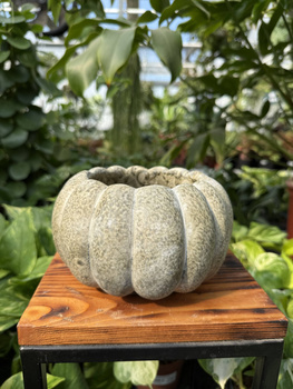 OSŁONKA CERAMICZNA DYNIA O17,5 H10,5