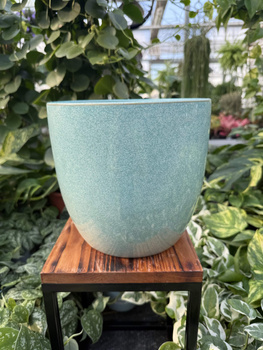 OSŁONKA PACIFIC MIĘTA P20