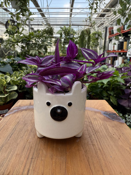 OSŁONKA CERAMICZNA Z MAGNESEM ZWIERZAKI 