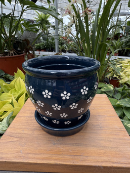 DONICA CERAMICZNA GRANATOWA STOKROTKA P12,5